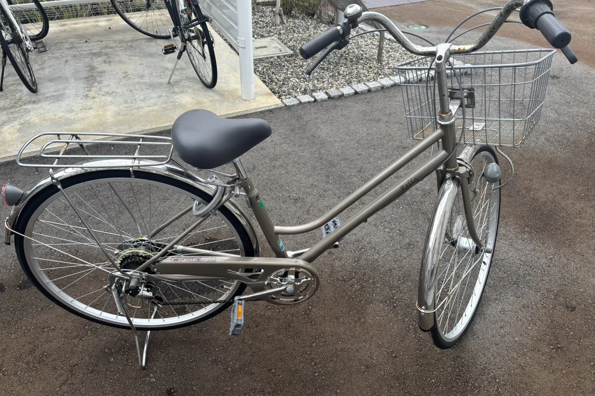 引き取ったシャンパンゴールドのシティサイクル